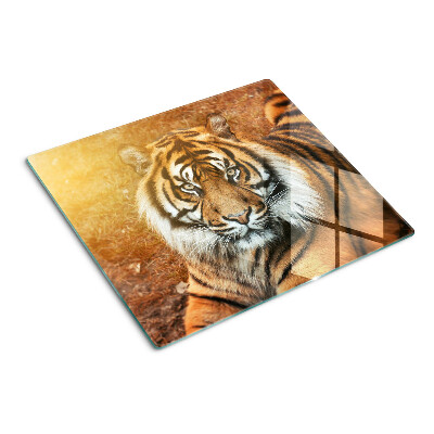 Steklena podloga za rezanje Tiger na soncu