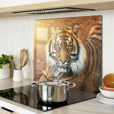 Steklena podloga za rezanje Tiger na soncu