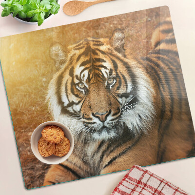 Steklena podloga za rezanje Tiger na soncu
