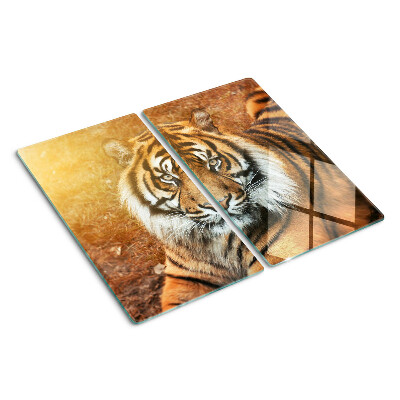 Steklena podloga za rezanje Tiger na soncu