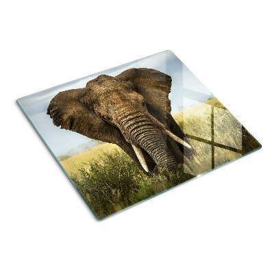 Steklena podloga za rezanje Slon na ozadju afriške savane