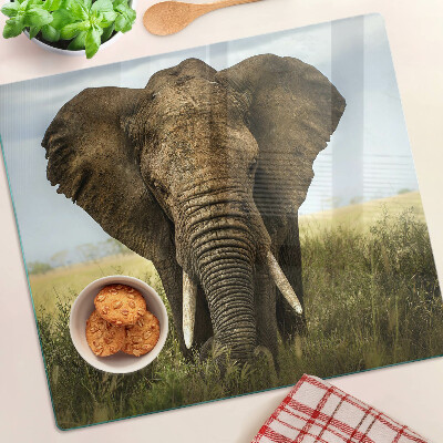 Steklena podloga za rezanje Slon na ozadju afriške savane
