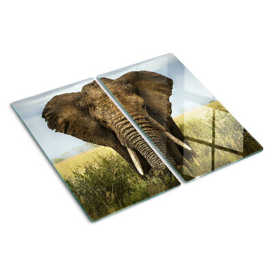Steklena podloga za rezanje Slon na ozadju afriške savane