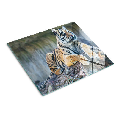Steklena podloga za rezanje Tiger na deblu drevesa