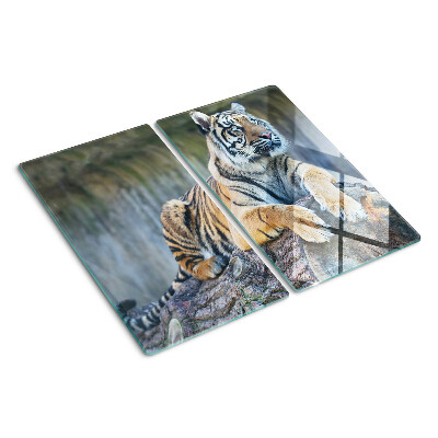 Steklena podloga za rezanje Tiger na deblu drevesa