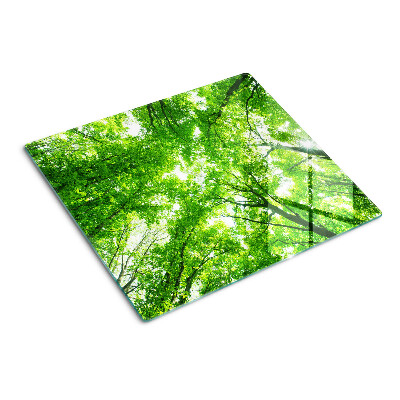 Steklena podloga za rezanje Gozdovi in zelena drevesa
