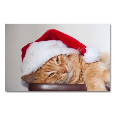 Steklena podloga za rezanje Cat Cap Santa Claus