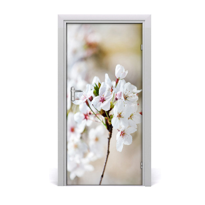 Nalepka na vratih Češnjevi cvetovi