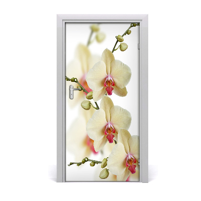 Nalepka na vratih Orhideja