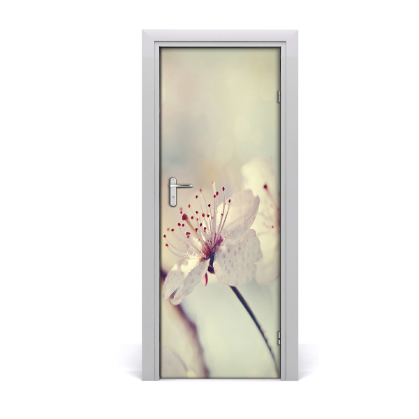 Nalepka na vratih Češnjevi cvetovi