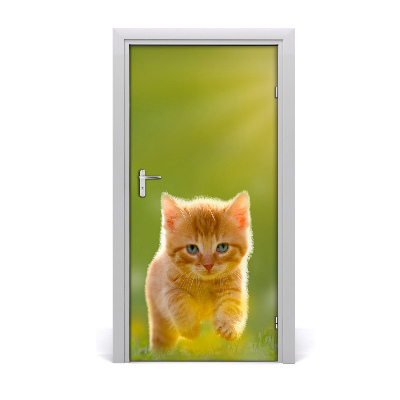 Nalepka na vratih Red cat