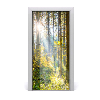 Samolepilni tapete na vratih Sonce v gozdu