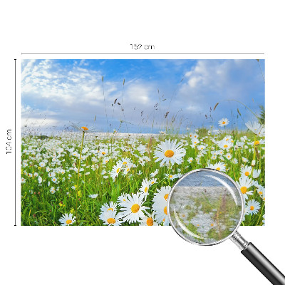 Netkana fototapeta s motivom poletnega travnika