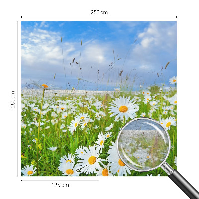 Netkana fototapeta s motivom poletnega travnika