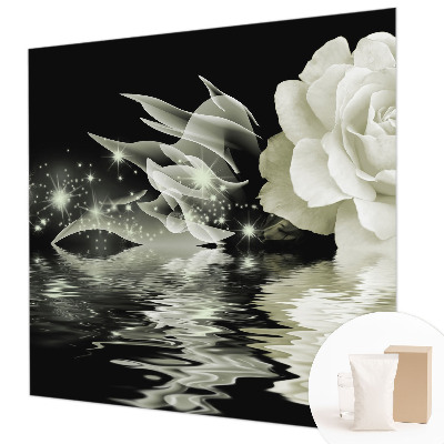 Tiskana fototapeta flis Svetleča vrtnica