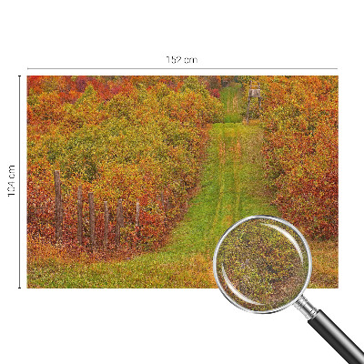 Fototapeta za dnevno sobo z motivom jesenskih barv
