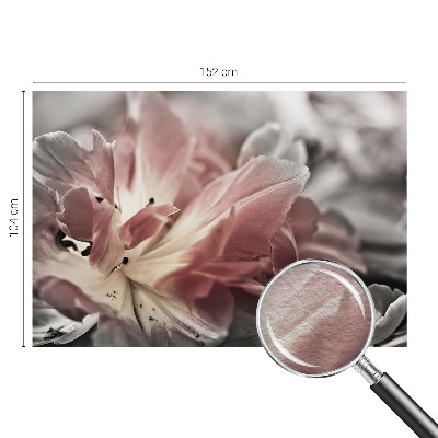 Fototapeta za steno s pastelno cvetlično dekoracijo