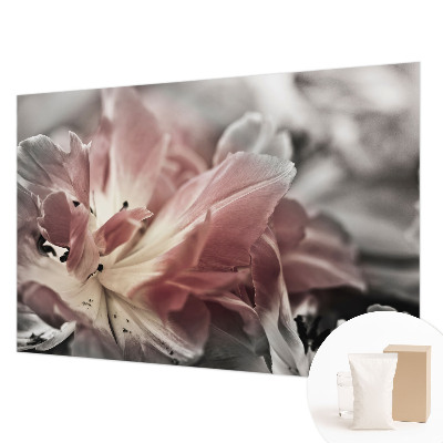 Fototapeta za steno s pastelno cvetlično dekoracijo