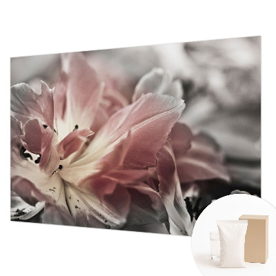 Fototapeta za steno Pastelni cvet
