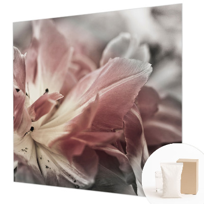 Fototapeta za steno s pastelno cvetlično dekoracijo