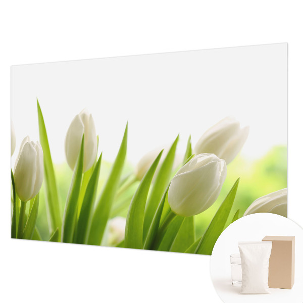 Fototapeta po meri z motivom belih tulipanov
