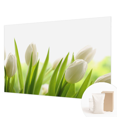 Fototapeta po meri z motivom belih tulipanov