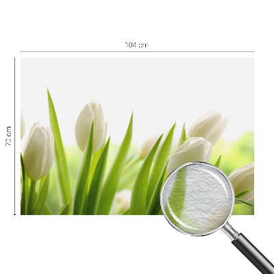 Fototapeta po meri z motivom belih tulipanov
