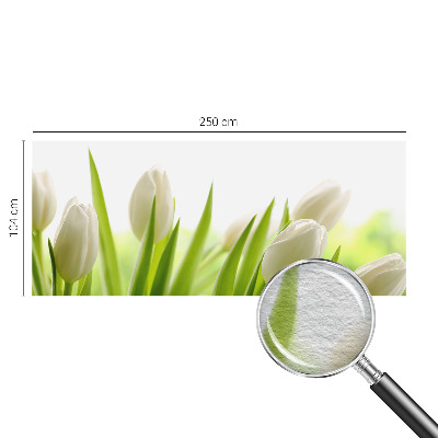 Fototapeta po meri z motivom belih tulipanov
