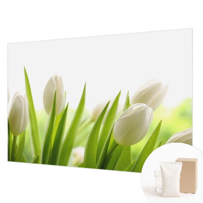 Fototapeta po meri z motivom belih tulipanov