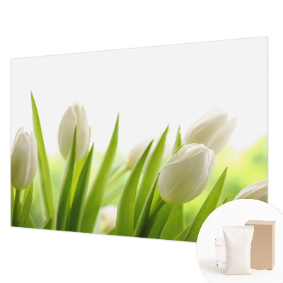 Fototapeta po meri z motivom belih tulipanov