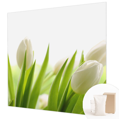 Fototapeta po meri z motivom belih tulipanov