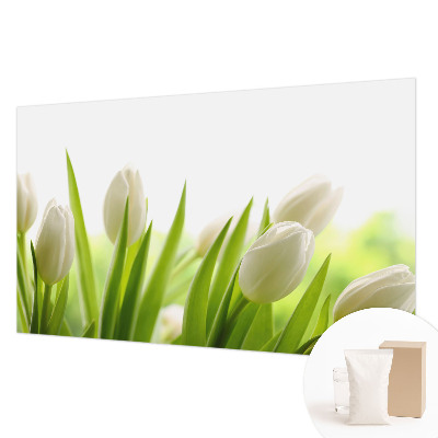 Fototapeta po meri z motivom belih tulipanov