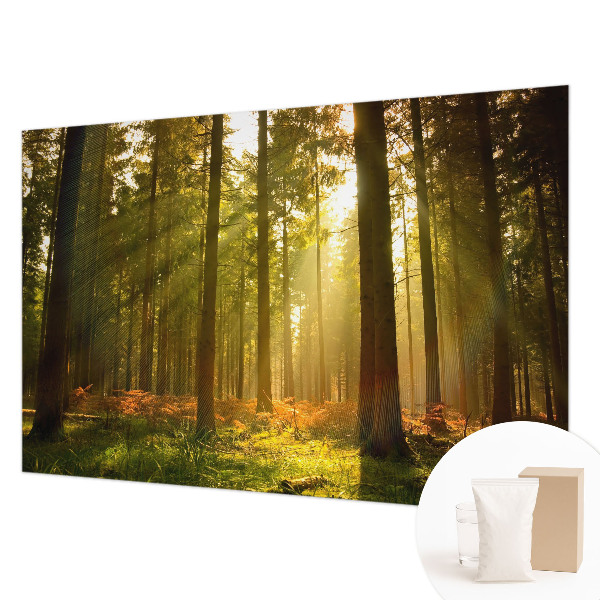 Fototapeta za dnevno sobo z motivom gozdu prebujajočega jutra