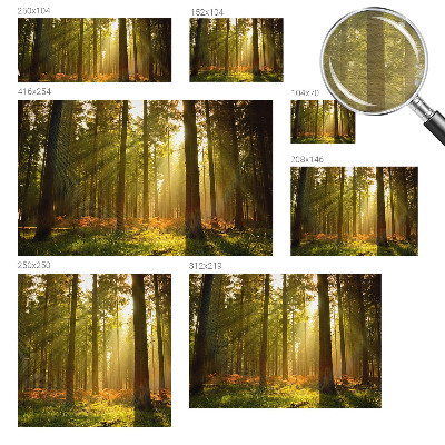 Fototapeta za dnevno sobo z motivom gozdu prebujajočega jutra