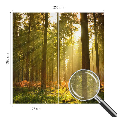 Fototapeta za dnevno sobo z motivom gozdu prebujajočega jutra