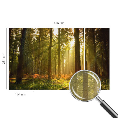 Fototapeta za dnevno sobo z motivom gozdu prebujajočega jutra