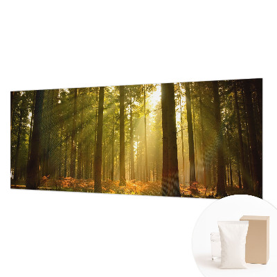Fototapeta za dnevno sobo z motivom gozdu prebujajočega jutra