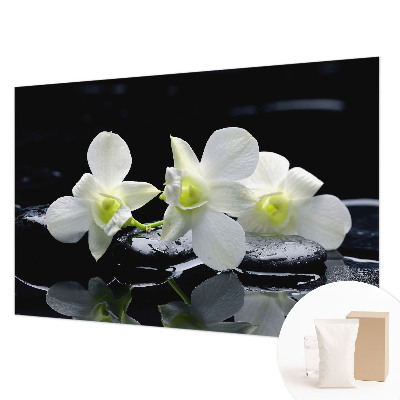 Moderna fototapeta Rože in kamni