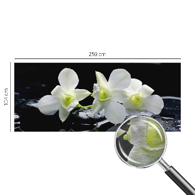 Moderna fototapeta Rože in kamni