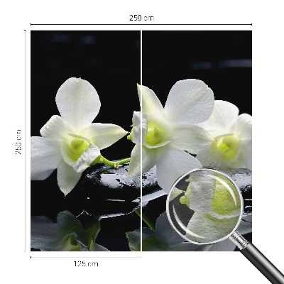 Moderna fototapeta Rože in kamni