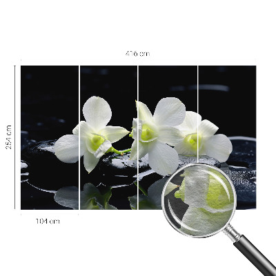 Moderna fototapeta Rože in kamni