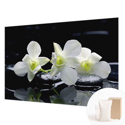 Moderna fototapeta Rože in kamni