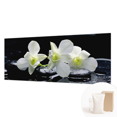 Moderna fototapeta Rože in kamni