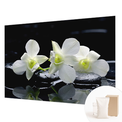 Moderna fototapeta Rože in kamni