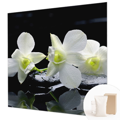 Moderna fototapeta Rože in kamni