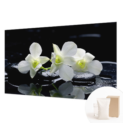 Moderna fototapeta Rože in kamni