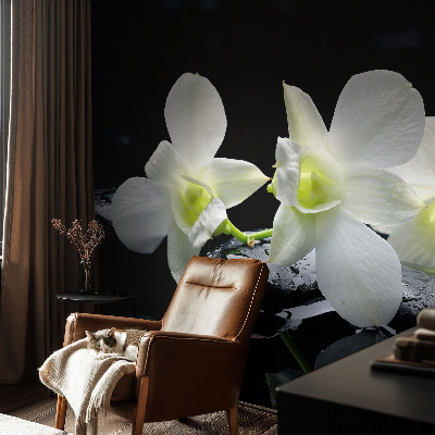 Moderna fototapeta Rože in kamni