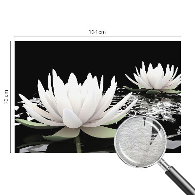 Visokokakovostna fototapeta Vodne rože