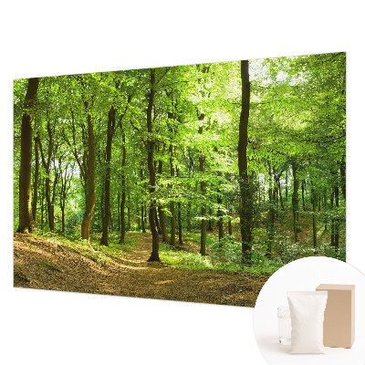 Flis fototapeta z motivom naravne poti