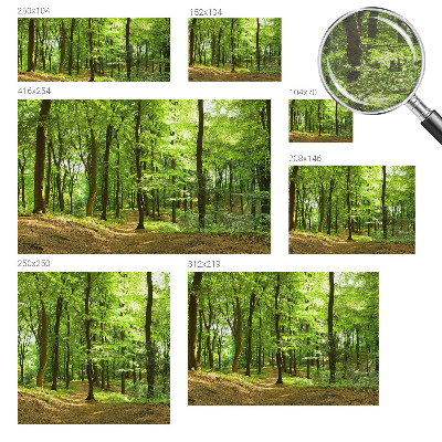 Flis fototapeta z motivom naravne poti